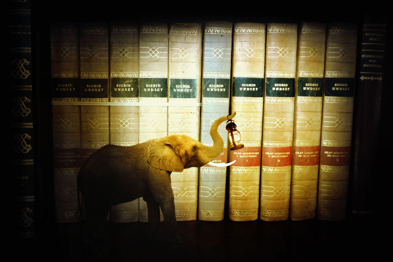 Elefant vor Büchern