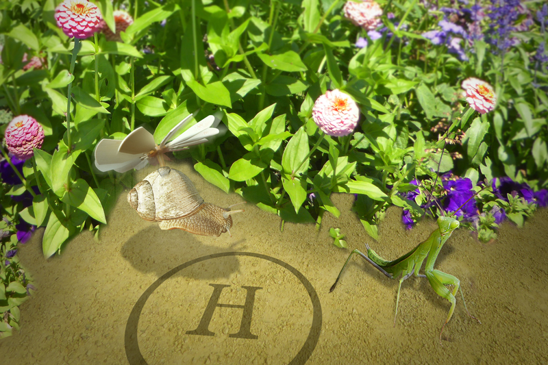 Fliegendes Schalentier