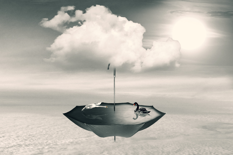 Die Wolke