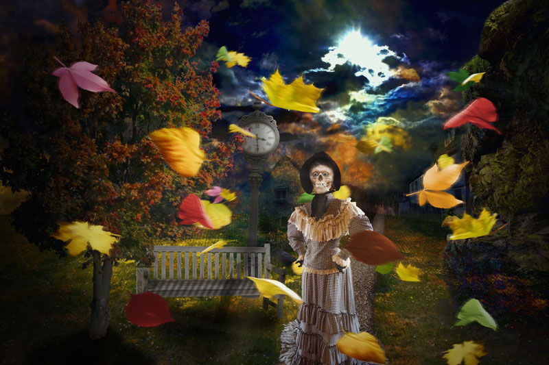 Im Herbst des Lebens