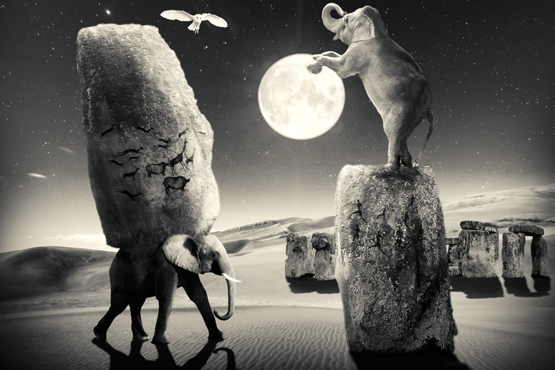 Elefant-Stones