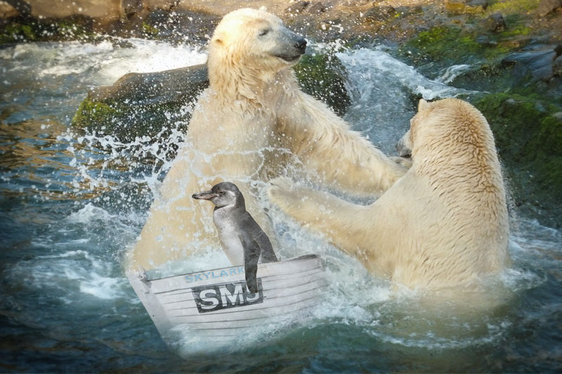 Eisbären und Pinguin